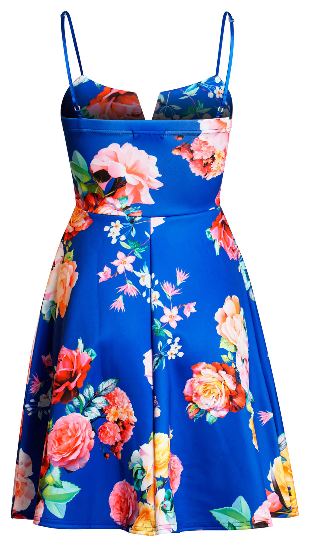 Ahara Floral Skater Dress