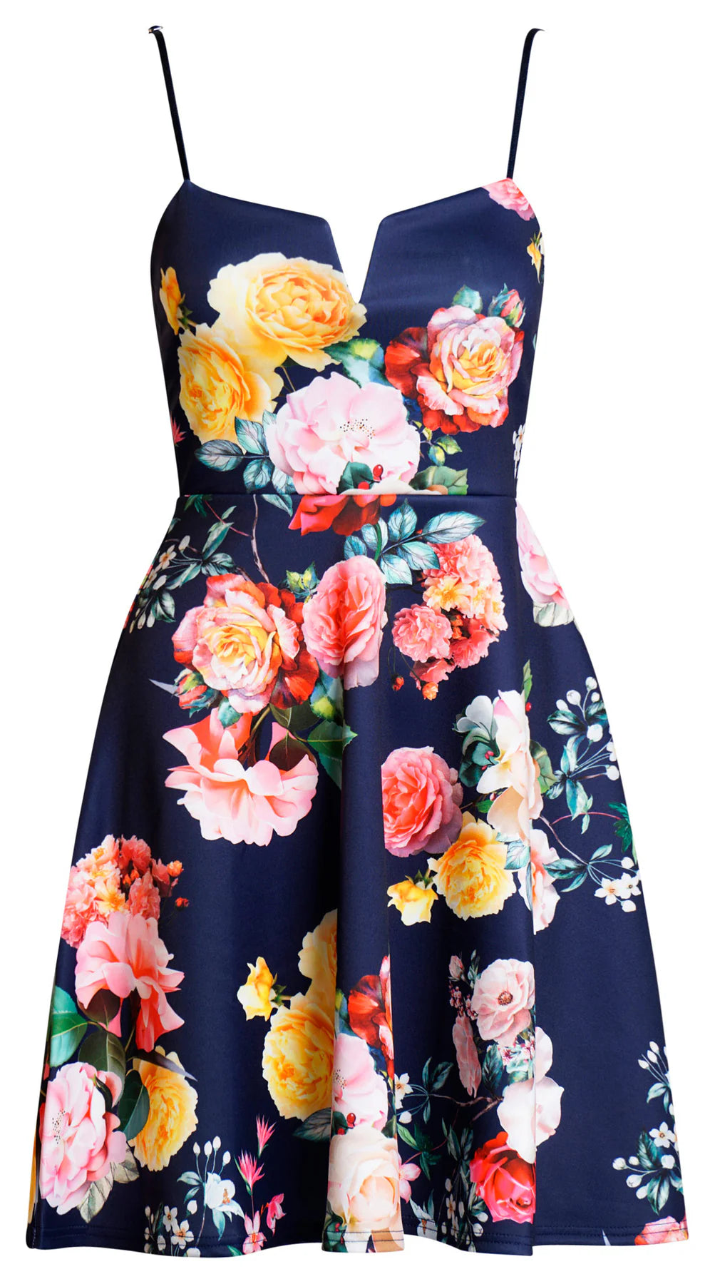 Ahara Floral Skater Dress